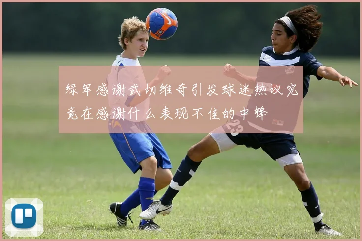 绿军感谢武切维奇引发球迷热议究竟在感谢什么表现不佳的中锋