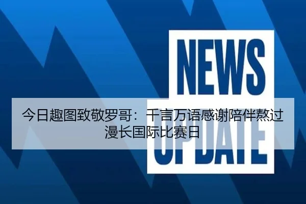 今日趣图致敬罗哥：千言万语感谢陪伴熬过漫长国际比赛日（ManBetX）
